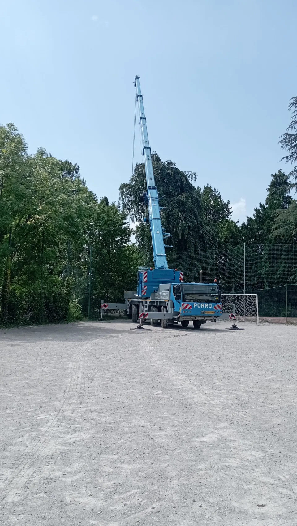Operazione di abbattimento di un albero con autogru