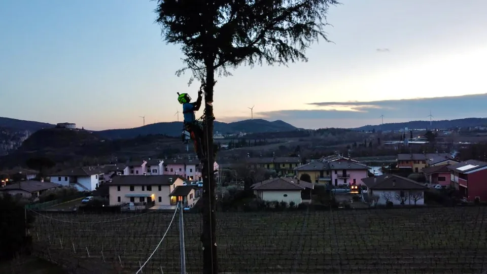 Intervento in tree climbing sopra un giardino